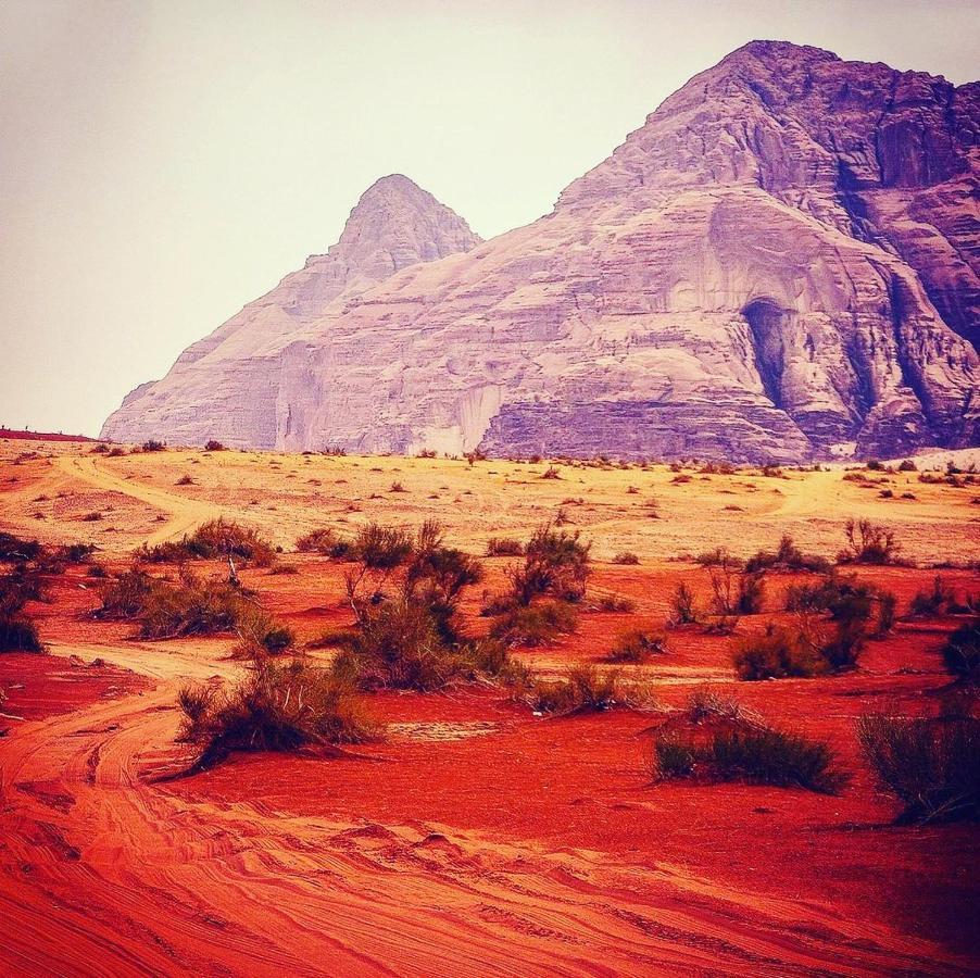 Hotel Maraheb Luxury Camp Wadi Rum Exterior foto